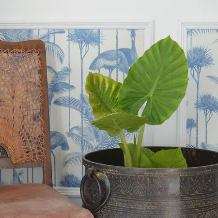 فندق مبيت وإفطار Fuga Al Trullo أوستوني